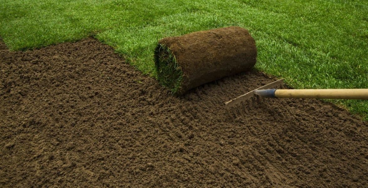 99ed6f03-91d1-4d4a-8d7a-9f4e513f6eab