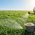 best lawn company for weed control
