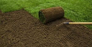 99ed6f03-91d1-4d4a-8d7a-9f4e513f6eab