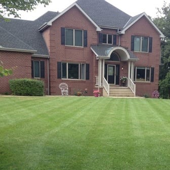 Expert team performing landscape maintenance services in a lush garden.