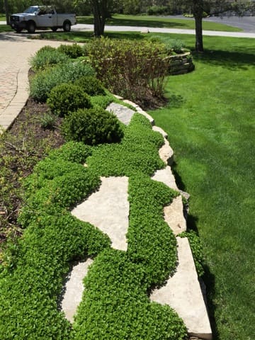 optimal lawn aeration timing